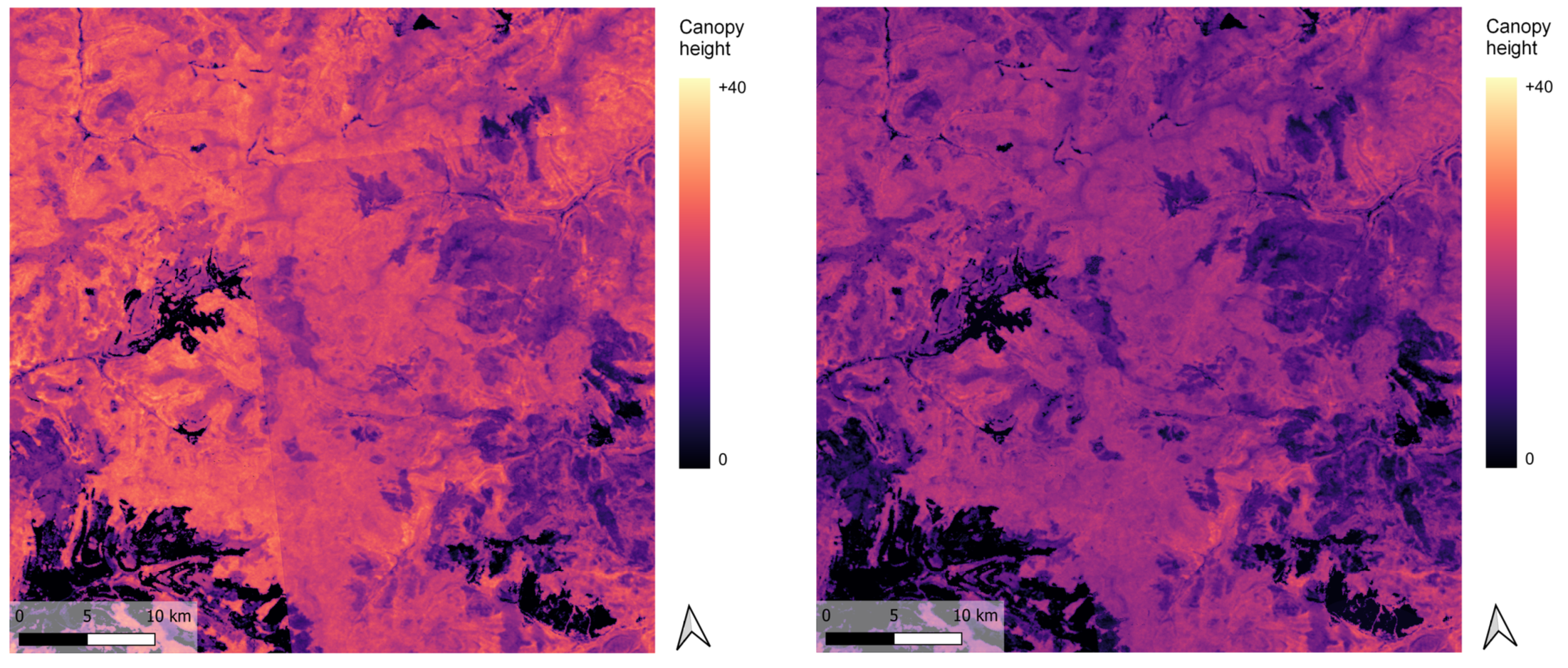 ICESat-2 vegetation mapping project image
